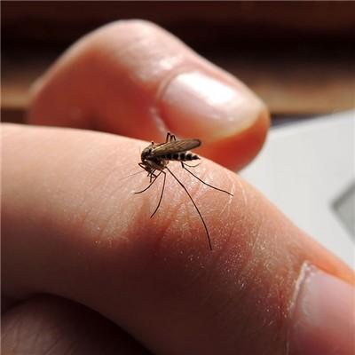 蚊虫叮咬后出现红肿怎么办？