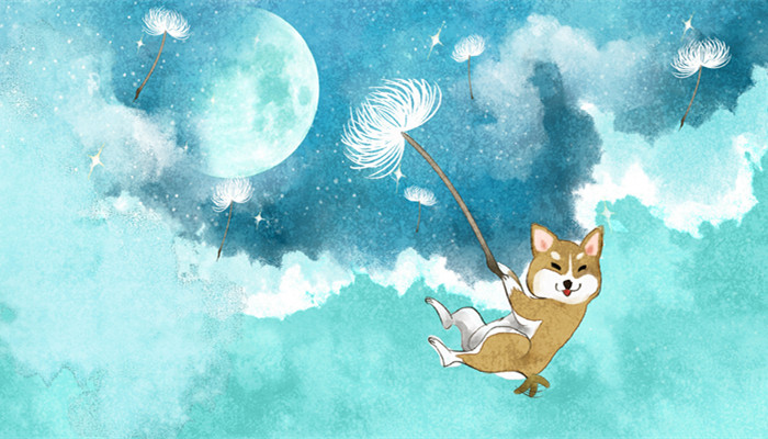 属狗的四大桃花年 属狗感情运势不错年份