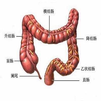 大肠癌能活多久