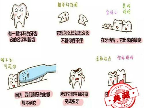 长智齿好痛怎么办