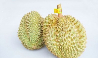 吃榴莲有什么好处 对我们的身体有什么益处