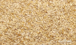 老人血糖高吃什么好？ 四种食物可降低高血糖