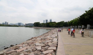 深圳湾公园游玩攻略 快来这里看看吧！
