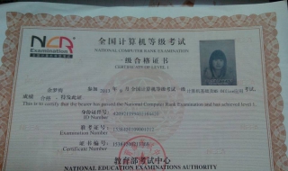 全国计算机等级考试：如何查询成绩？