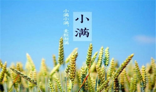 小满节气养生常识，防止 感冒
