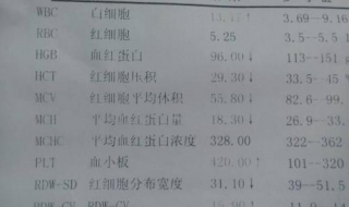 严重贫血怎么办 科学治疗方法总结