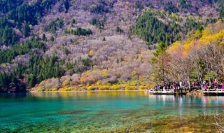 11月适合去哪里旅游 这五个城市非常合适