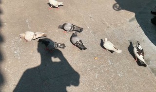 顺其自然的说说 关于顺其自然的精选语录