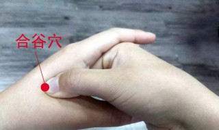 合谷穴位的作用有哪些 按摩合谷穴位的好处