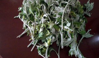 怎样用艾草治咳嗽感冒 教你办法