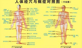 气血不足灸什么穴位 你知道吗