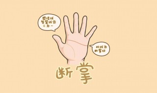 断掌什么意思 有什么意思吗