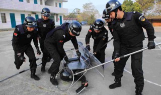 退休民警可以穿警服吗 警察的分类