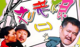 刘老根2大结局 快来看看吧