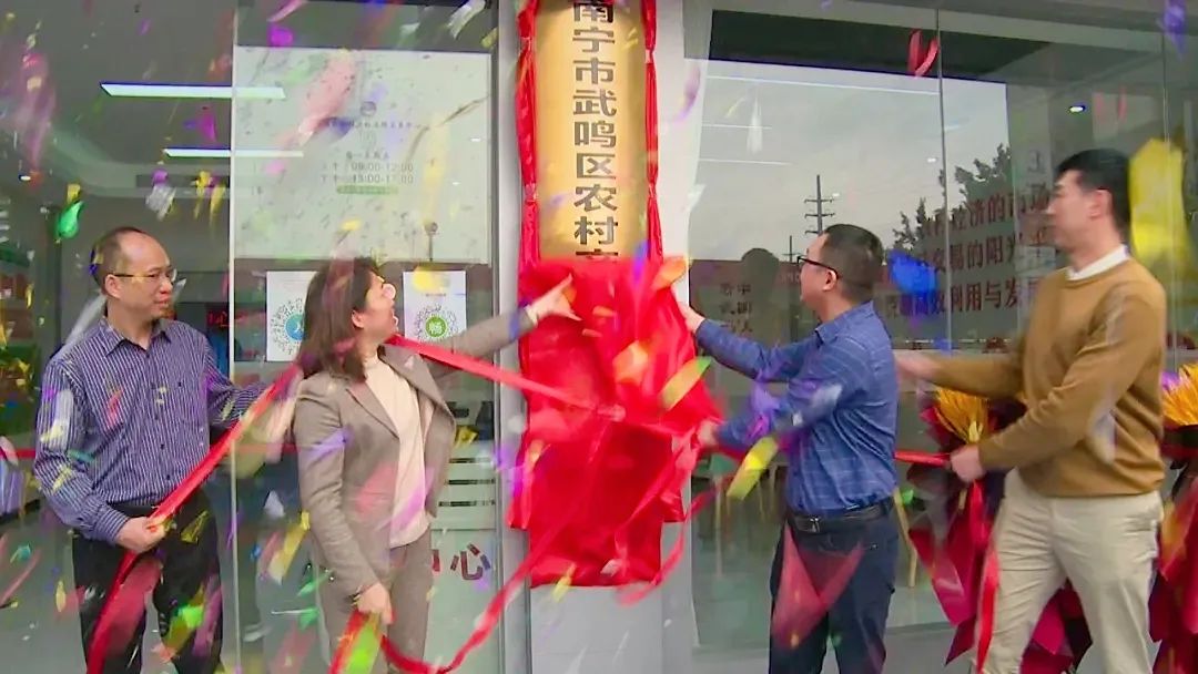 南宁市武鸣区融媒体中心 | 武鸣区农村产权流转交易中心正式揭牌成立