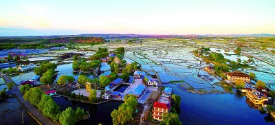 “小”土地种出大收益——黑龙江省牡丹江市以特色农业助力乡村振兴 “小”土地种出大收益——黑龙江省牡丹江市以特色农业助力乡村振兴