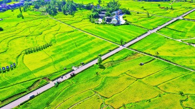 【大美中国】金秋田园