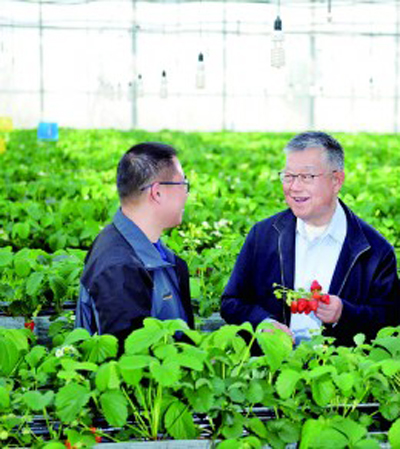 努力走出一条农民致富的好路子 努力走出一条农民致富的好路子