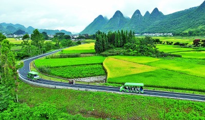 【大美中国】秀美风光
