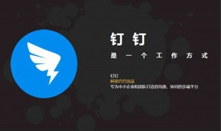 钉钉视频怎么关闭摄像头 钉钉怎么视频