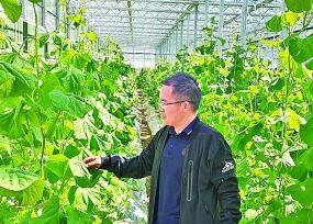 给作物“量身定制”一个家——走近青年设施农业科研工作者 给作物“量身定制”一个家——走近青年设施农业科研工作者