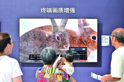 扬合作之帆 汇发展合力 扬合作之帆 汇发展合力