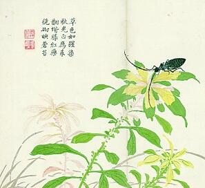 古籍版刻 百代芸香 古籍版刻 百代芸香